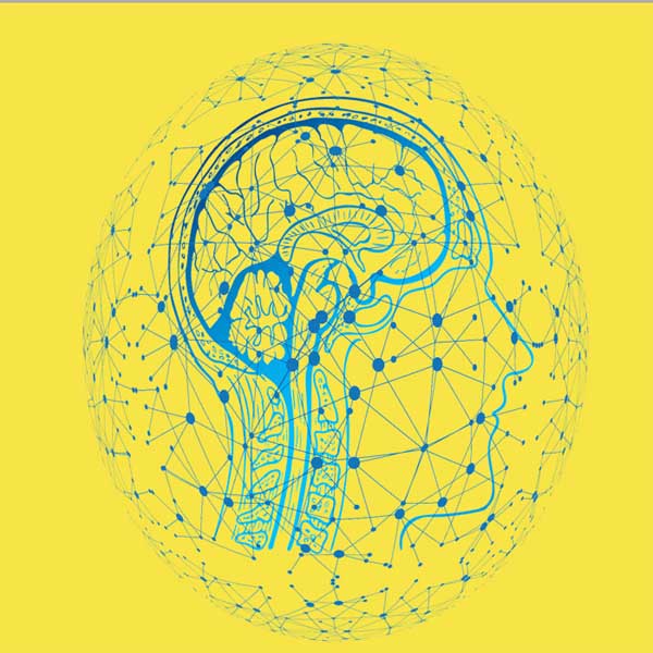 Image text reference